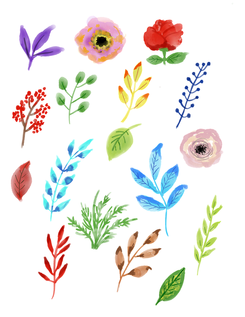 flowers